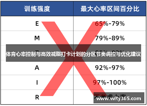 体育心率控制与高效减脂打卡计划的分区节奏调控与优化建议