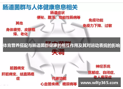 体育营养搭配与肠道菌群健康的相互作用及其对运动表现的影响